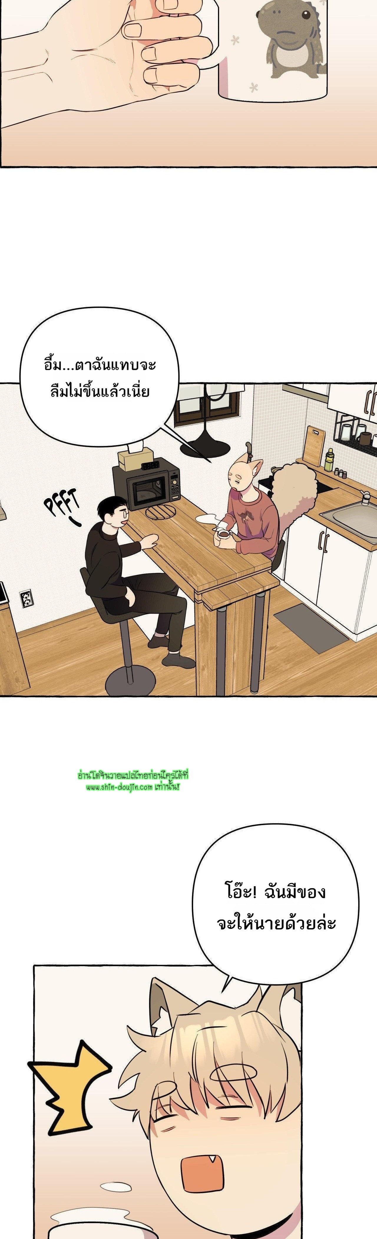 Samsam-ine House EP 11